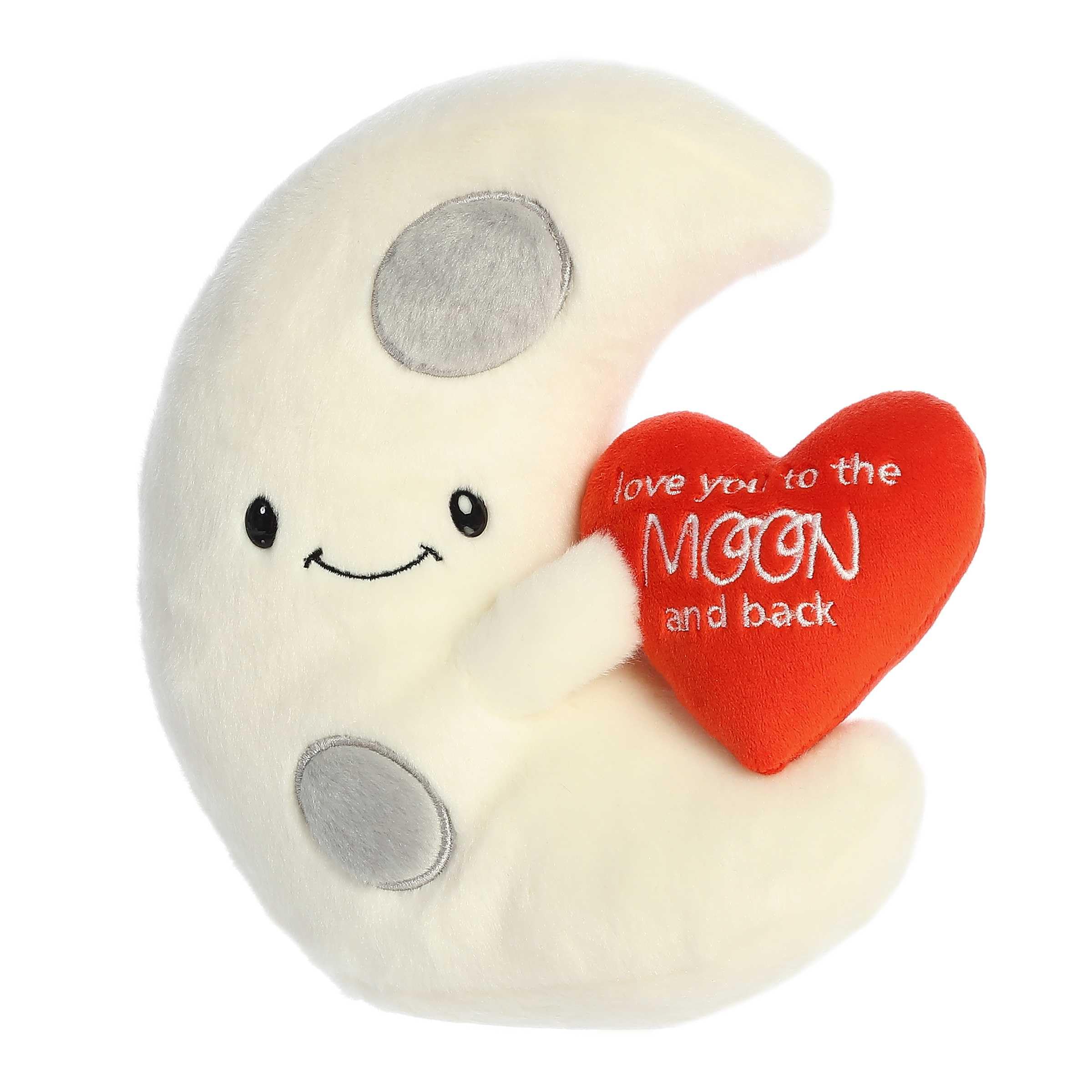 Amazon.com: Aurora® Witty JUST Sayin'™ Love You to The Moon and